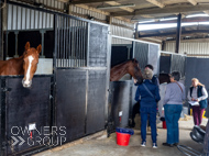 AH040924-63 - Anthony Honeyball Stable Visit